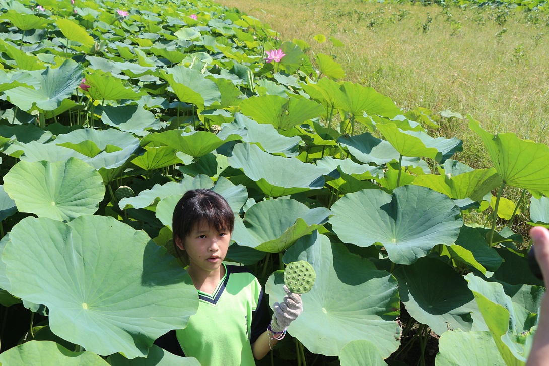 Sample Photo