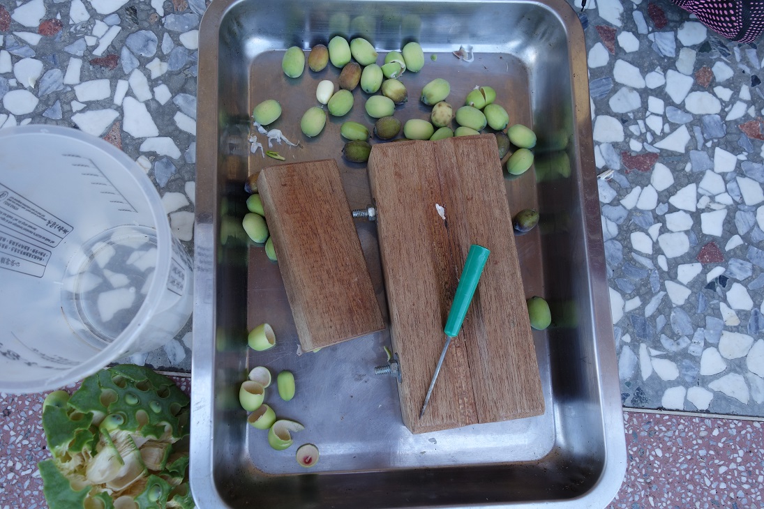 Sample Photo